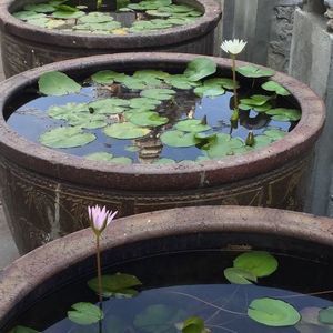 Meet your Posher, Simone